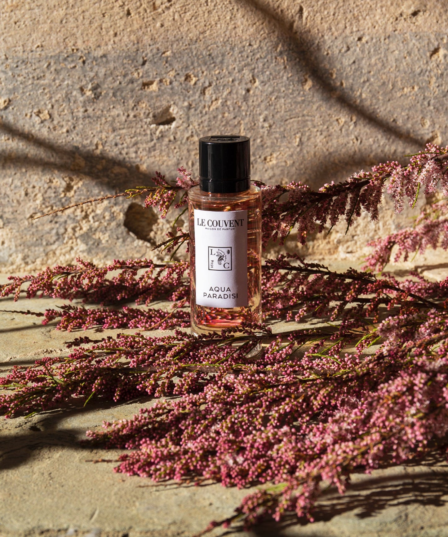 BOTANICAL - 50ml