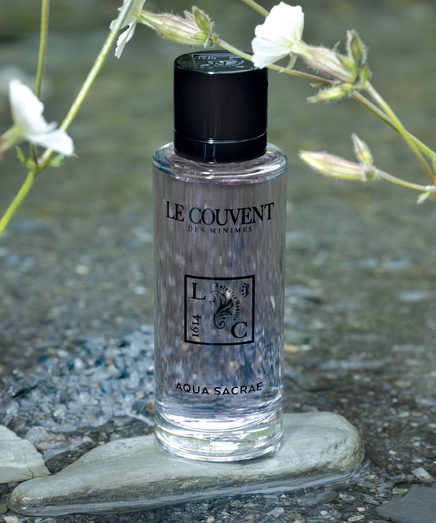 BOTANICAL - 50ml